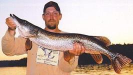 50 inch Northern Pike caught in Sullivan Bay